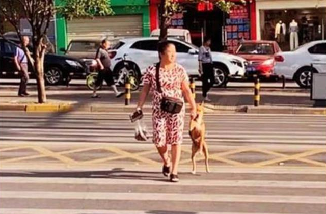 老远看见大妈拎着狗，以为又是虐待，走近一看，却默默捂嘴了