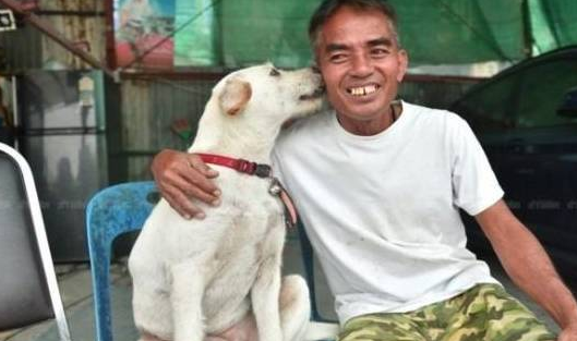 大叔找回走失爱犬，为庆祝，大摆流水席，路人村里人都招待