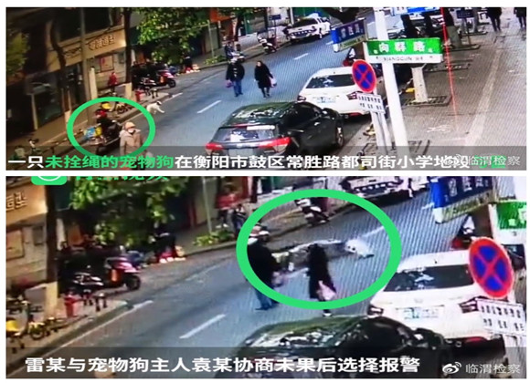 “爱狗人士”请速看，爱狗的“正确打开方式”