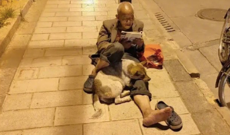 老人在道路路灯下边看书，腿边还偎依着一只小狗，一人一狗，却享余生