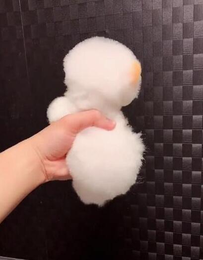 以为只是一团泡沫，当狗狗缓缓转过身时，萌到少女心爆棚