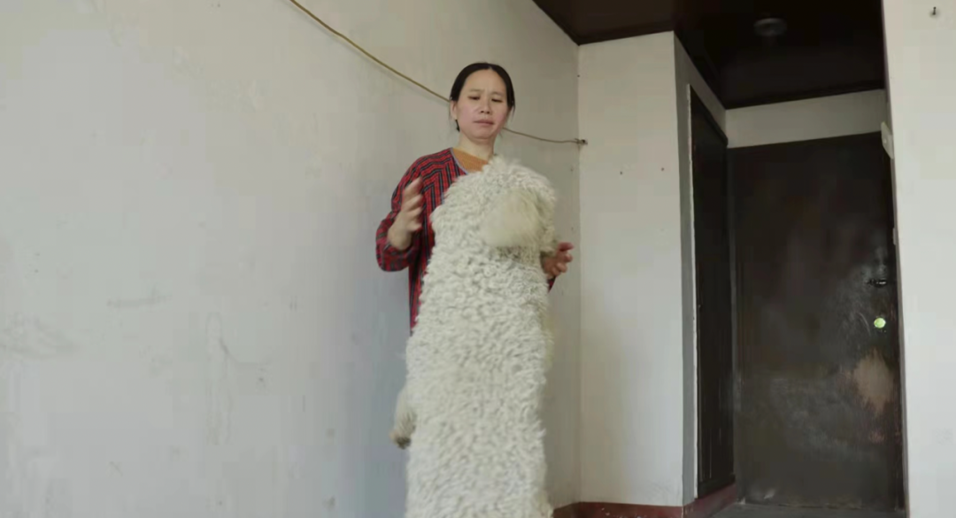 疫情当下，这个“傻”大姐，用十余载守护一方猫狗！