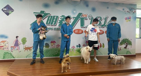 免费领养狗狗，报名申请就可以！今天，柯基、贵宾等15只小可爱已被领走