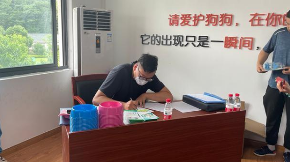 免费领养狗狗，报名申请就可以！今天，柯基、贵宾等15只小可爱已被领走