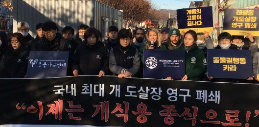 南韩政府宣布关闭狗肉屠宰场！具有历史意义时刻