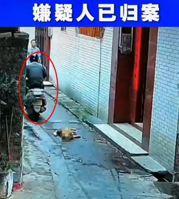 狗被喷不明液体后迅速死亡，江门公安：嫌犯被抓获，有偷狗前科
