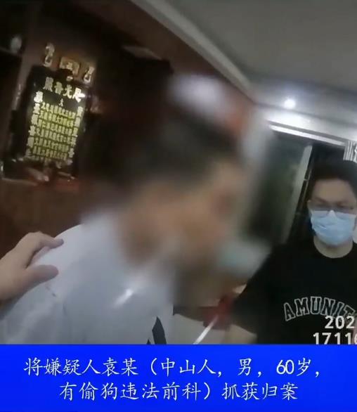 狗被喷不明液体后迅速死亡，江门公安：嫌犯被抓获，有偷狗前科