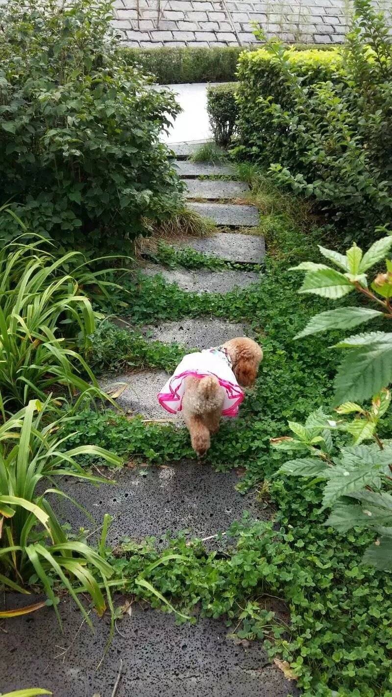 艾米两岁时从西安飞长春做了一次长途旅行... 在吉林姥姥家几个月的时间里每天都开心的出去嗨，玩的累了，到家吃了倒头就睡。