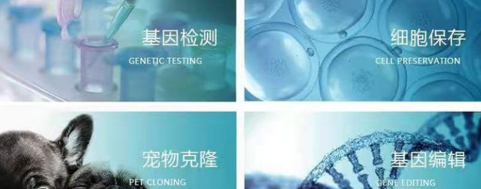 狗狗死了还能克隆吗？宠物死亡多久还能克隆？