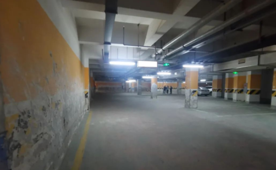 判了！宠物犬昆明某小区地下停车场被撞死，主人索赔6505元被拒………