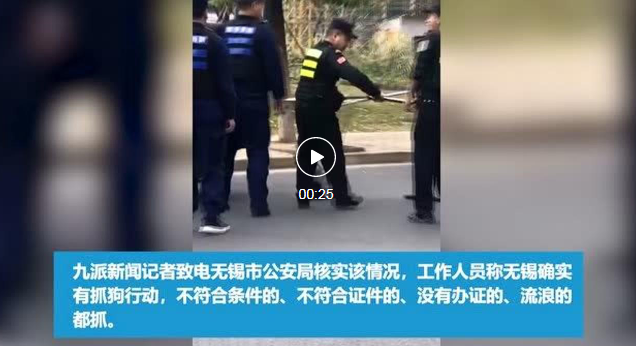 “中国打狗热”：比流浪动物可怕的是无知，比无知更可怕的是人心！