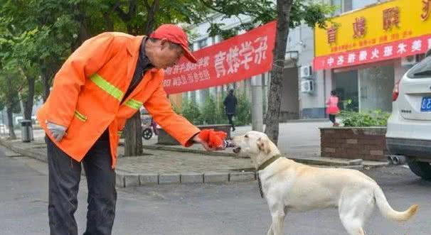 环卫大爷无意救下幼犬，路人主动提出收养后，大爷恳请善待狗狗！
