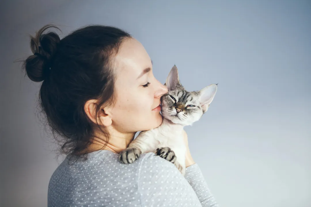 关于猫咪腹泻:常见问题解答与护理技巧