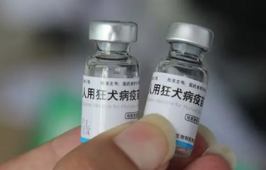 男生模仿电视剧用嘴吸女友被猫抓伤的手,医生告知都需打狂犬疫苗