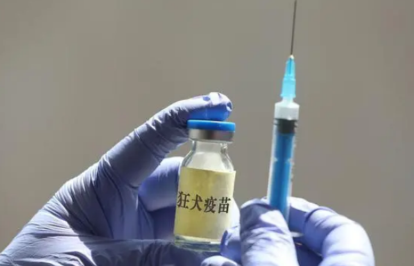 男生模仿电视剧用嘴吸女友被猫抓伤的手,医生告知都需打狂犬疫苗