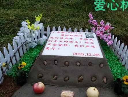 宠物天堂墓地昌平 | 宠物墓地故事：老人为狗不离婚，狗一死马上去民政局