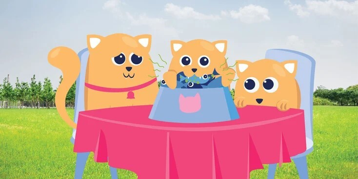 如何防止猫病传播?深度解析
