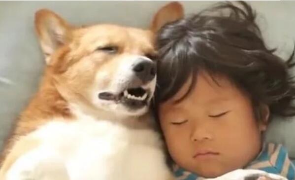 当妈妈推开门看到惊人一幕：狗狗居然钻进宝宝的被窝