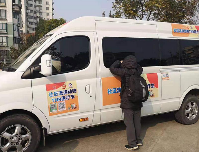 社区来了辆移动绝育车，一出门猫狗就“不完整”了