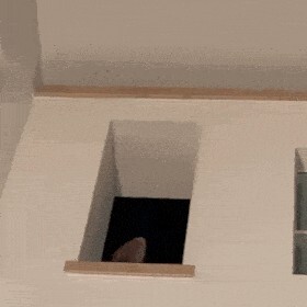 新手养猫请进:一分钟梳理得了猫藓怎么办!