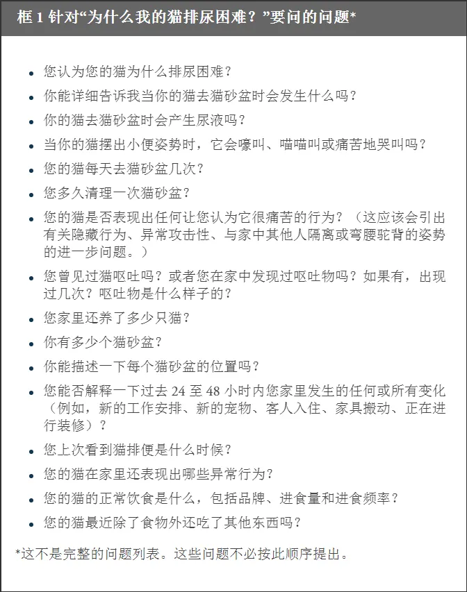 为什么我的猫排尿困难?解密 FLUTD 及其症状