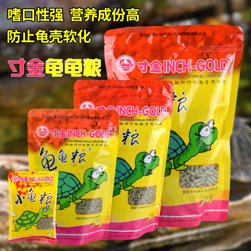 龟龟肠胃炎,成因怎么预防以及治疗方法!