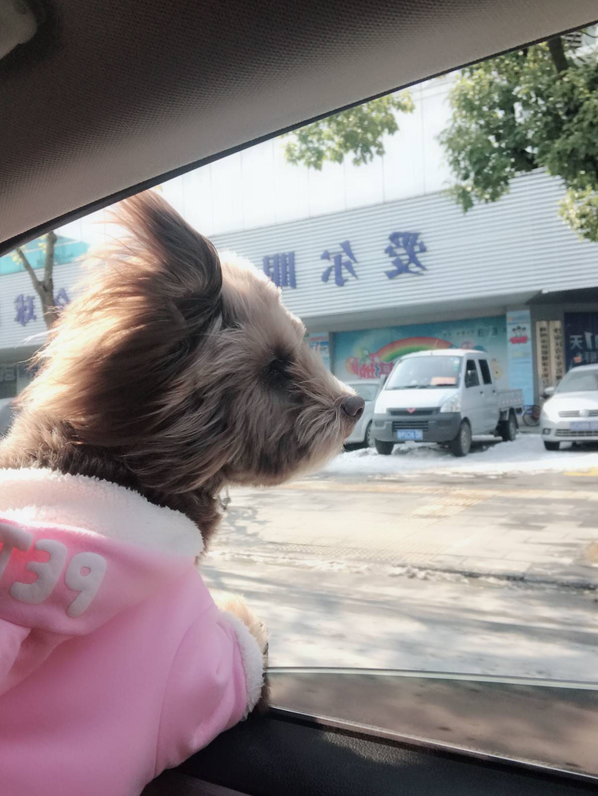 开 ！往城市边缘开 把车窗都摇下来 用速度换一点痛快孤单 被热闹的夜赶出来却无从告白 是你留给我的悲哀哦 ~