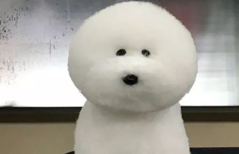 狗狗去美容，結果变为一大团肥皂泡，害怕拿水一冲就没有了