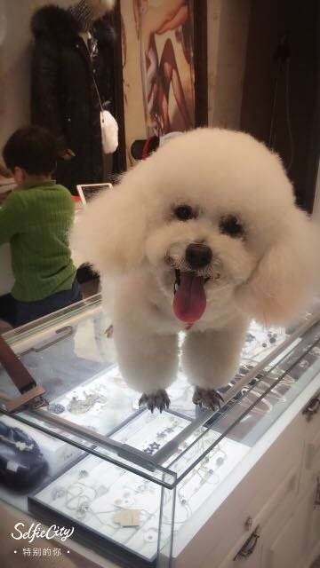 洗了个免费的澡，做了个免费的美容