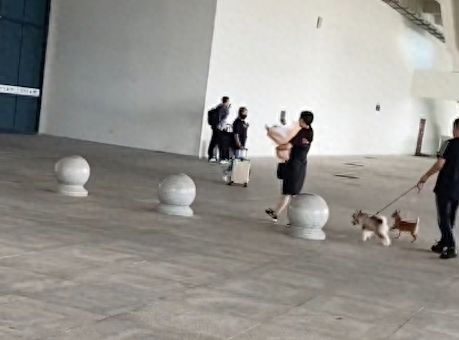 夫妻俩牵着两只狗狗来接儿子和女友，还送上鲜花，温暖又有爱呀！