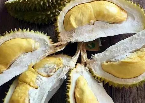 铲屎官回家吃榴莲，成果狗子疯狂闻自己屁股…笑喷了！