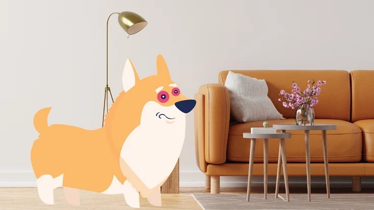 狗狗的红眼病(结膜炎):症状与原因