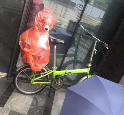 小伙怕狗狗被淋雨湿，想到了这类奇怪的招数，过路人见到竞相笑坏