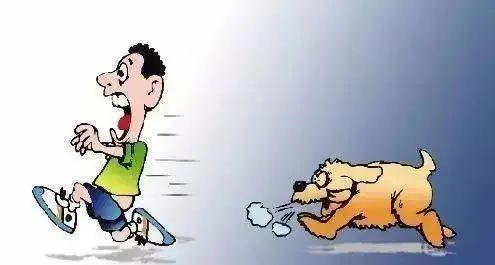 男子被狗追摔倒受伤，狗主人该如何担责？