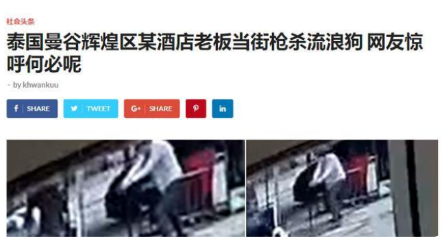 疑因姿势不对，男子投喂流浪狗被咬，恼羞成怒把狗打死