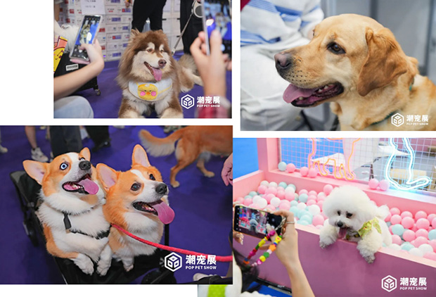 为品牌力提速!潮宠展发布2024年度战略!