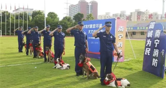 别了，汪汪队！南宁消防7条搜救犬退役到“新家”