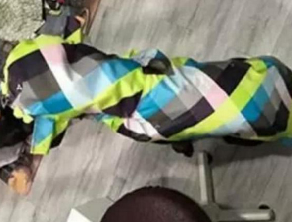 女主给狗狗用心穿着打扮一番，当狗狗现身后，网民：太漂亮害怕看！