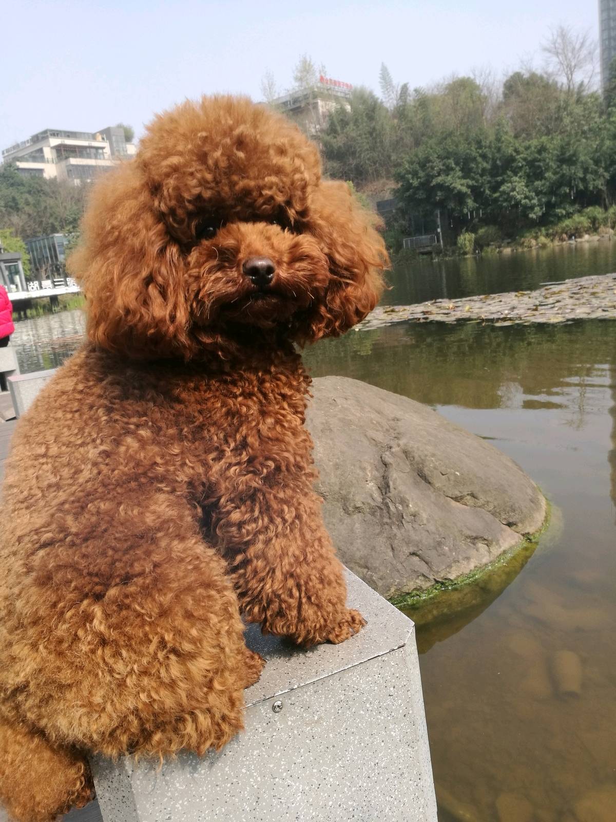 春天到了不能再任性了，每天跟麻麻一起跑跑跑，好身材跑出来