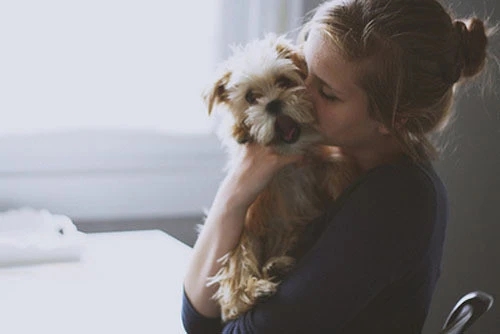 主人让爱宠照顾宝宝，狸花猫与柴犬无奈对视，但行动上却很温柔！