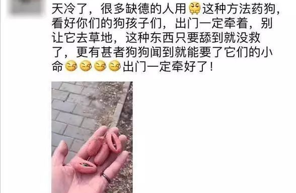 朋友圈被『毒香肠』刷屏了养狗好几年,香肠毒死它却只要几分钟