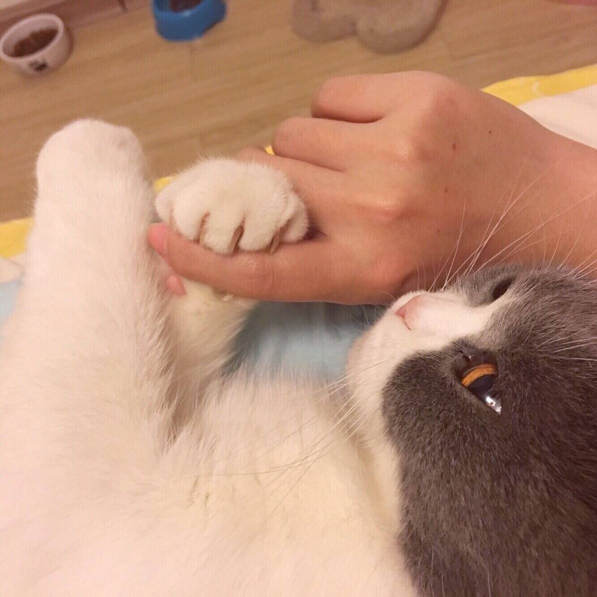 臭咪，你要把麻麻吃点嘛！