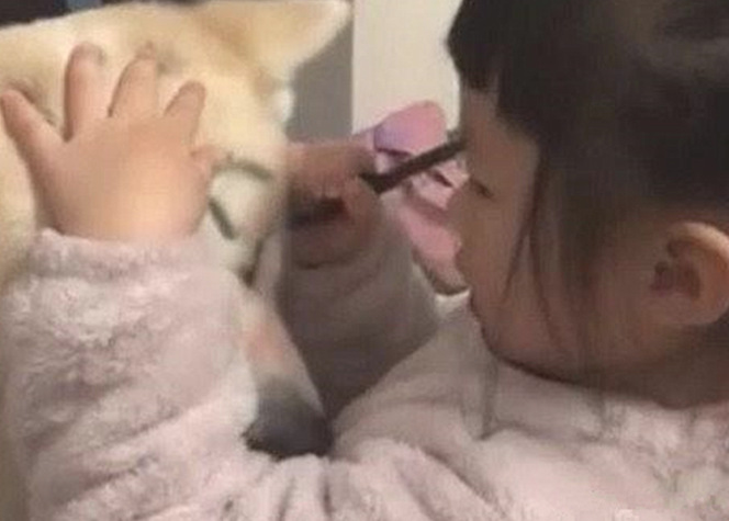 女子下班回家，看到女儿在狗狗脸部捯饬，靠近一看却有点儿心痛了