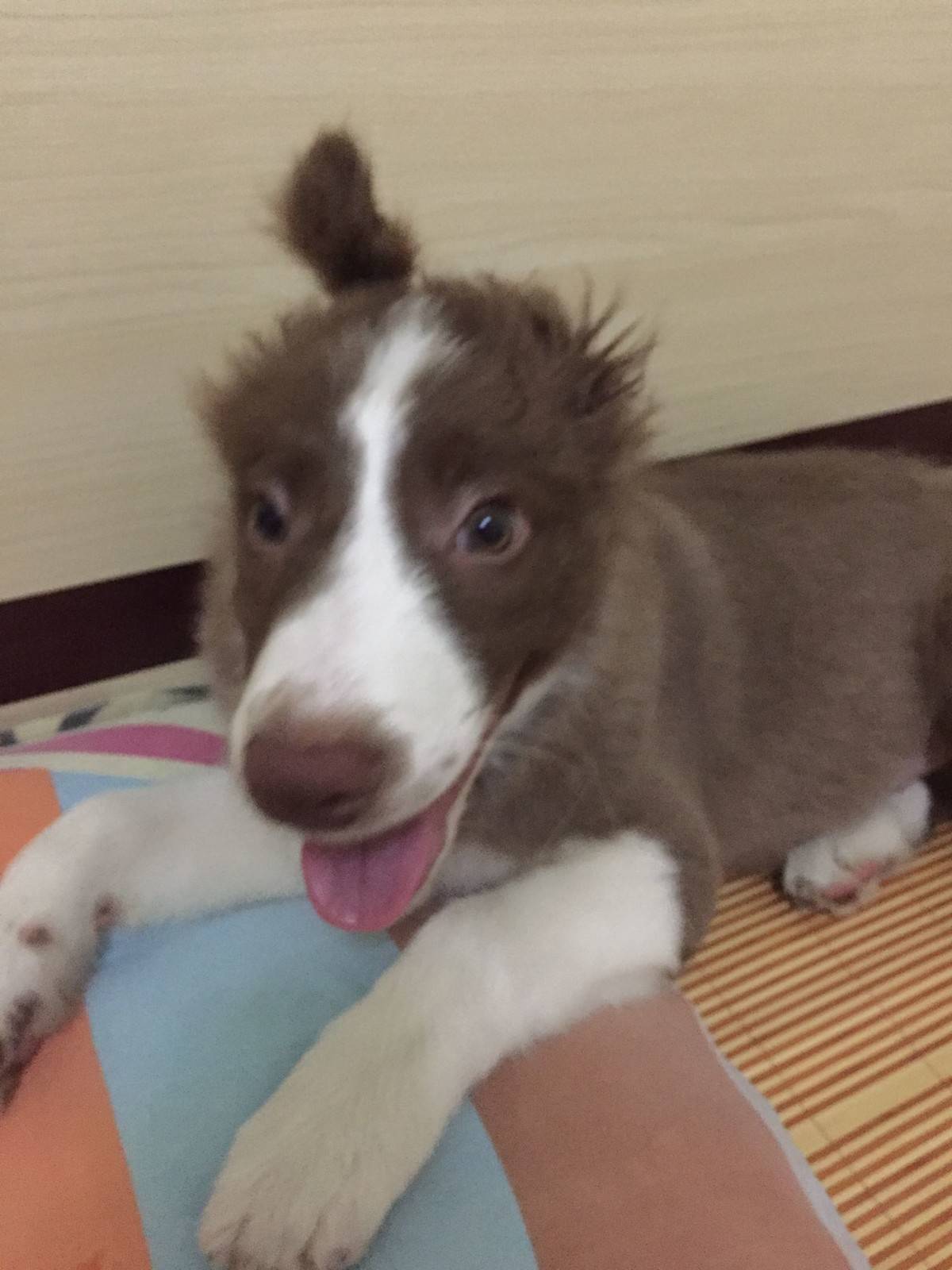 麻，你这是要干嘛，一帅小伙儿被你弄成这样