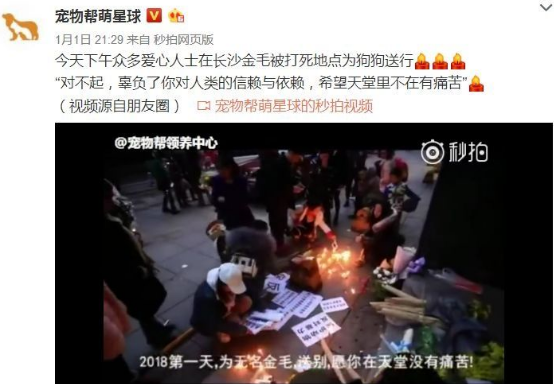 长沙辅警当街虐狗事件持续发酵，当事人反被人肉送菊花