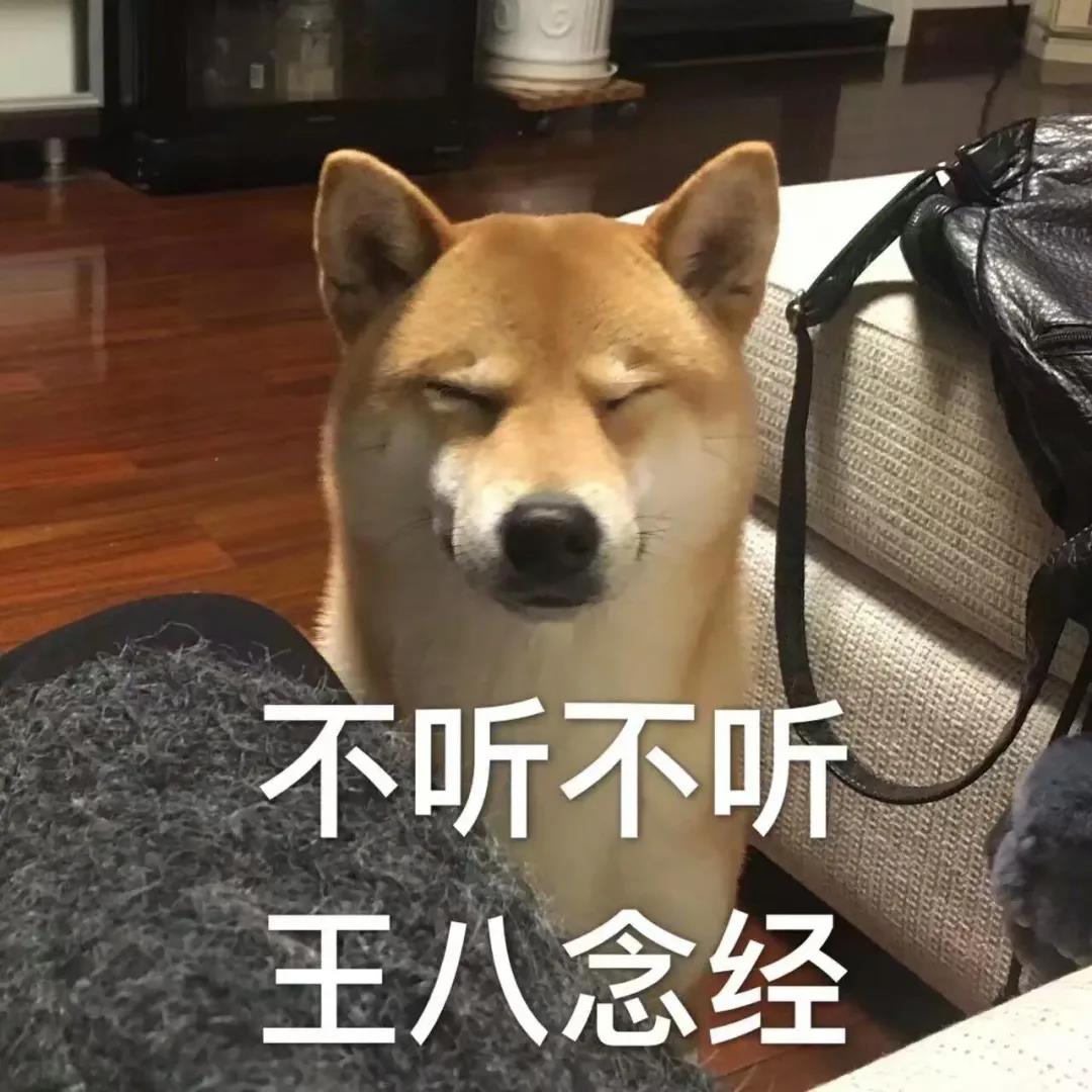 如何一句话证明你养了狗？