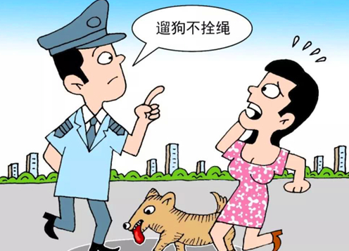 路上被狗咬时把狗踢死了，是否需要负法律责任《民法典》告诉你