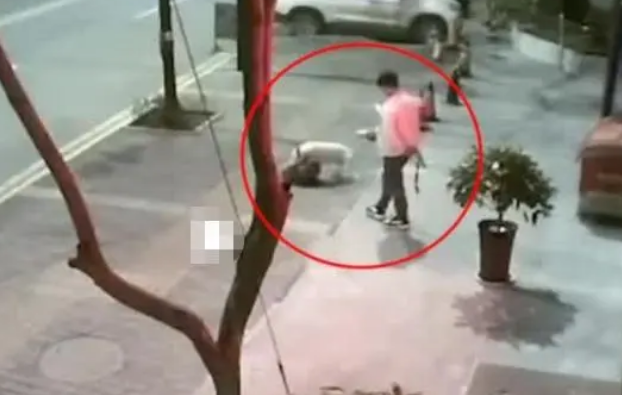不戴口罩、不牵狗绳？男子遛狗纵容流浪狗被咬死网友：严惩