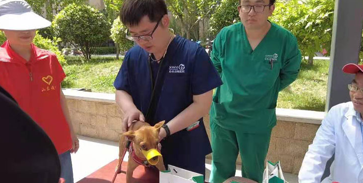 “健康养犬，预防狂犬病”公益科普进社区 ——中共山东省动物疫病预防与控制中心第一支部“我为群众办实事”活动纪实