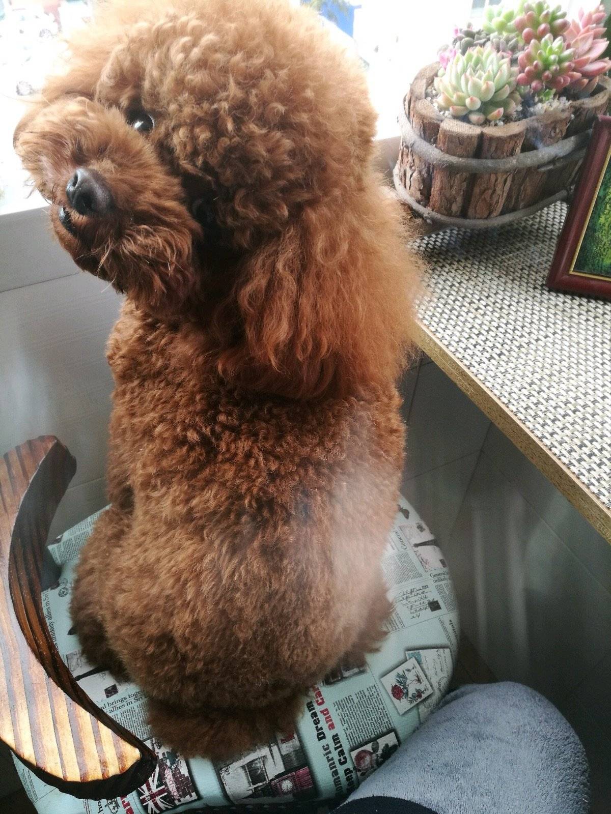 元宵节陪麻麻逛了一天街，累到趴下，不懂麻麻为何那么能走，她还抱着我走，她说她一点不累，我都不相信，我先睡觉觉了，祝大家元宵快乐